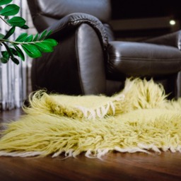 Handwoven Wool Rug Modern Fluffy Cozy Rug For Home Living - thumbnail 3