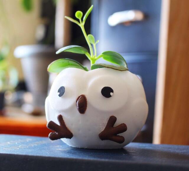 Owl Planter, Owl Pot, Christmas Gift, Plant Mom, Lovers, Succulent Planter, Animal Lover, Women Gifts, Birthday Gift - image 1