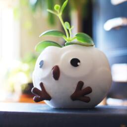 Owl Planter, Owl Pot, Christmas Gift, Plant Mom, Lovers, Succulent Planter, Animal Lover, Women Gifts, Birthday Gift - thumbnail 2