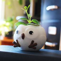 Owl Planter, Owl Pot, Christmas Gift, Plant Mom, Lovers, Succulent Planter, Animal Lover, Women Gifts, Birthday Gift - thumbnail 3