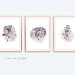 Lilac Flower Prints, Purple Hydrangea Watercolour Set Of 3 Floral Bedroom Lavender Wall Art, Living Room Prints - thumbnail 2