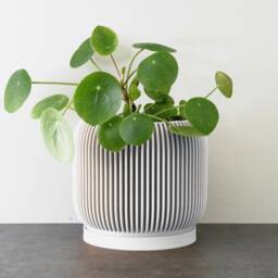 "Ribbed Modern Planter With Drainage & Saucer in White, Unique 3D-Printed Plant Pot, Sizes 4"" 5"" 6"" 7"" 8" - thumbnail 2