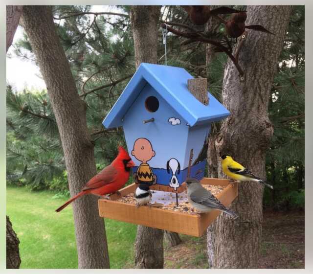 Your Favorite Cartoon Character Bird Feeder - image 1