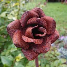 Rusty Metal Garden 1 Metre Flower Stakes - Choose Selection Poppy, Rose - thumbnail 2