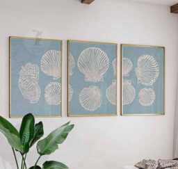Set Of 3 Seashell Posters, Coastal Wall Art Prints, Nautical Beach Decor For Living Room Or Bedroom - thumbnail 1