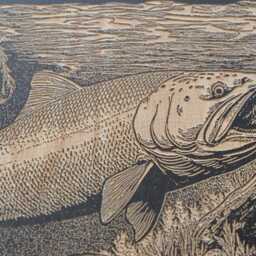Salmon in A River Wall Art - Nature Inspired Engraved Wood Lithograph Illustration, Large Painting, Alaska Fishing Print - thumbnail 3