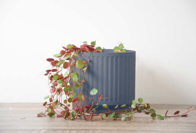 "Jetsetter Planter With Drainage & Saucer in Stone Blue, Unique 3D-Printed Plant Pot, Small To Large Sizes 4"" 5"" 6"" 7"" 8" - image 1