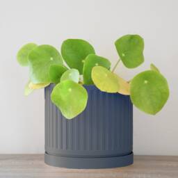 "Jetsetter Planter With Drainage & Saucer in Stone Blue, Unique 3D-Printed Plant Pot, Small To Large Sizes 4"" 5"" 6"" 7"" 8" - thumbnail 3