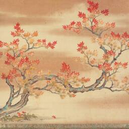 Maple Tree Fine Art Custom Made Printed Window Roller Blind - Ethn63 Regular & Blackout Shade Or Wall Mural Canvas - thumbnail 3
