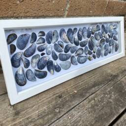 Cornish Mussel Shell Wall Art Large Framed Panoramic Picture Coastal Home Decor Handmade in Cornwall - thumbnail 4