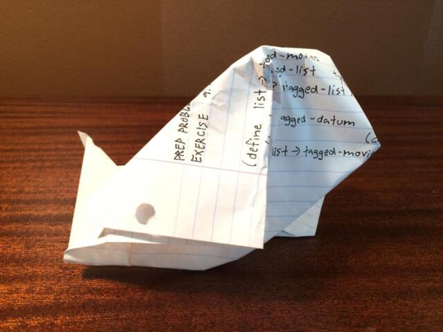 College Homework Baby Seal