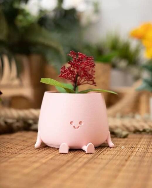 Official Cute Happy Face Pot Planter - Choose Your Colour Sitting Pot, Funny Planter, Succulent, Cacti Silly Plant Gift - image 1