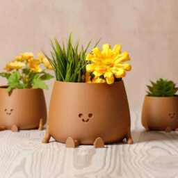 Official Cute Happy Face Pot Planter - Choose Your Colour Sitting Pot, Funny Planter, Succulent, Cacti Silly Plant Gift - thumbnail 4