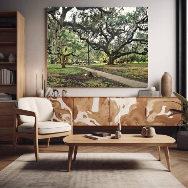 Photograph Early Bird in New Orleans City Park, Large Reaching Live Oaks Covered Spanish Moss, Early Morning Stroll, Meditation Walk - image 1