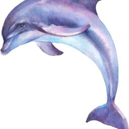 Purple Dolphin Wall Decal Ocean Sea Life Removable Fabric Sticker - thumbnail 3
