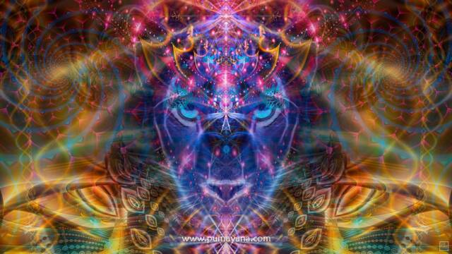Pumayana The Magician Tapestry - Wall Hanging Totem- Meditation Spiritual Visionary Art - image 1