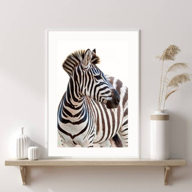 Zebra Print, Safari Fashion Wall Art, Stylish Black & White Bold Prints, Home Decor Animal - image 1
