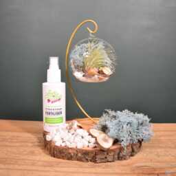 Diy Air Plant Terrarium Kit Gold Stand, Glass Holder, Gardener Gift - thumbnail 4