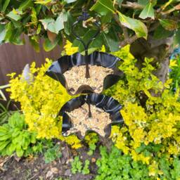 Upcycled Vinyl Record Bird Feeder Retro Garden Decor - thumbnail 3