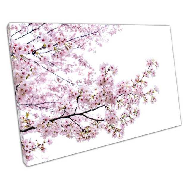 Elegant Cherry Blossom Wall Art Sakura Print For Home & Office Decor - Pink Floral Canvas Artwork - image 1