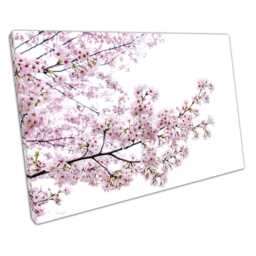 Elegant Cherry Blossom Wall Art Sakura Print For Home & Office Decor - Pink Floral Canvas Artwork - thumbnail 1
