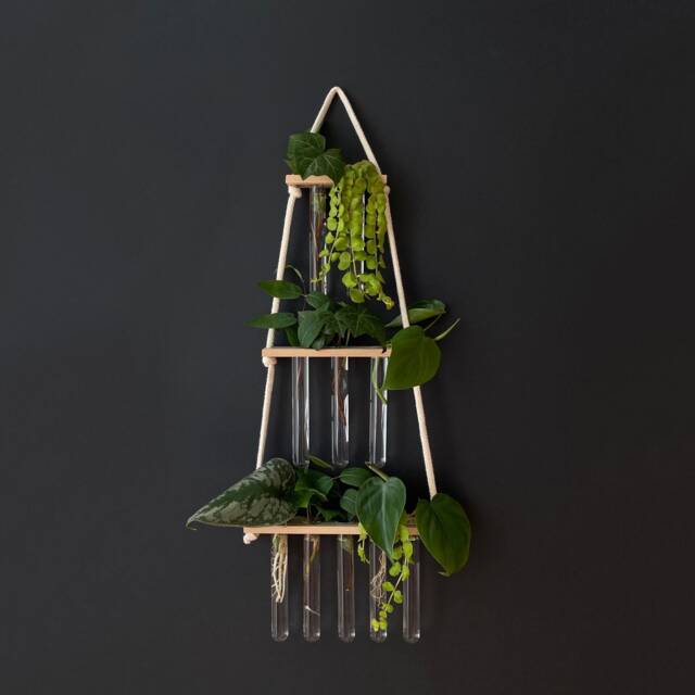 Hydroponics Gift For Plant Lovers - image 1