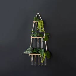 Hydroponics Gift For Plant Lovers - thumbnail 4