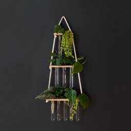 Hydroponics Gift For Plant Lovers