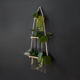 Hydroponics Gift For Plant Lovers - thumbnail 2
