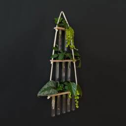 Hydroponics Gift For Plant Lovers - thumbnail 3