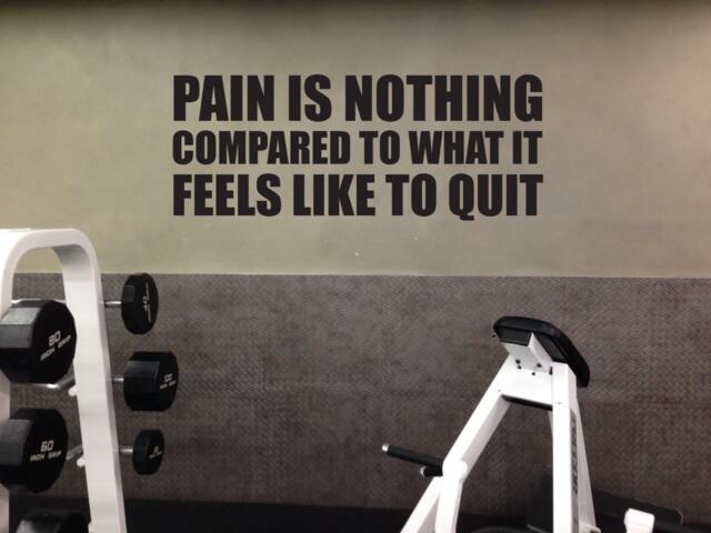 Fitness Art Wall Decal, Pain Is Nothing Compared To What It Feels Like Quit - image 1