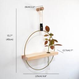 Propagation Station Wall Hanging, Test Tube Planter, Propagating Plants - thumbnail 2