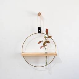 Propagation Station Wall Hanging, Test Tube Planter, Propagating Plants