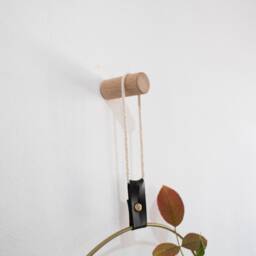 Propagation Station Wall Hanging, Test Tube Planter, Propagating Plants - thumbnail 4
