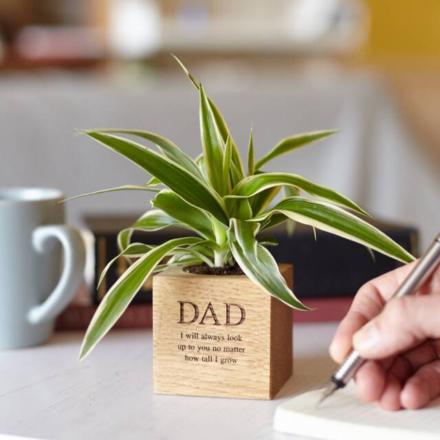 Personalised Solid Oak Micro Plant Pot Engraved Planter Gift - image 1