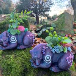 Dreaming Bear Druid Sparkly Plum With Succulents 14cm X 10cm - thumbnail 3