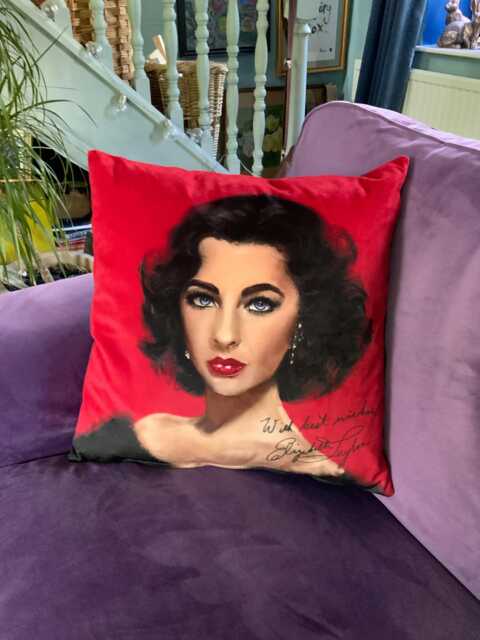 Elizabeth Taylor Velvet Cushion Cover Handmade Hollywood Diva Decor - image 1