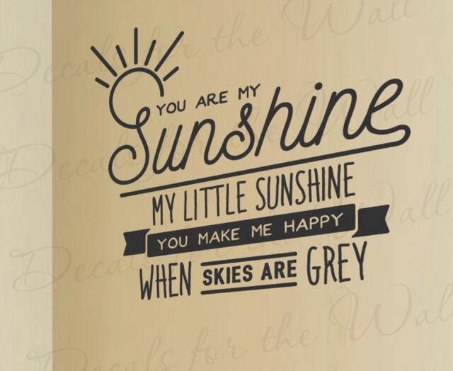You Are My Sunshine Make Me Happy When Skies Grey Boys & Girls Room Kids Baby Nursery Love Song Wall Decal Vinyl Art Sticker Q53 - image 1