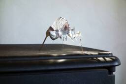 Stainless Steel Bug Sculpture Set Modern Metal Tabletop Art - thumbnail 1