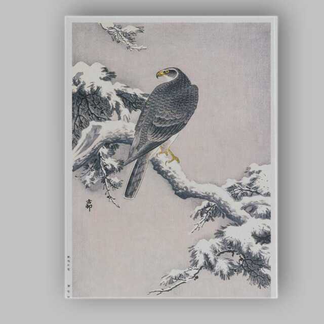 Japanese Falcon On Snow Covered Pine Branch Traditional Bird Illustration Canvas Wall Art Print Decor Picture Ready To Hang - image 1