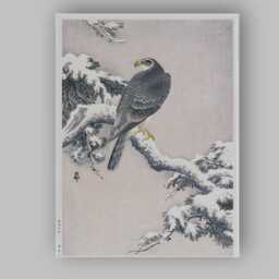 Japanese Falcon On Snow Covered Pine Branch Traditional Bird Illustration Canvas Wall Art Print Decor Picture Ready To Hang