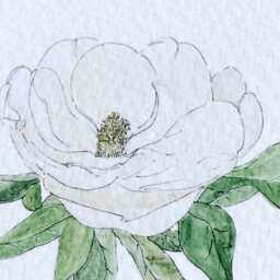 Mississippi State Flower Map Watercolor Magnolia - Art Print Wall Graduation Wedding Realtor Moving Gift Southern Floral - thumbnail 2