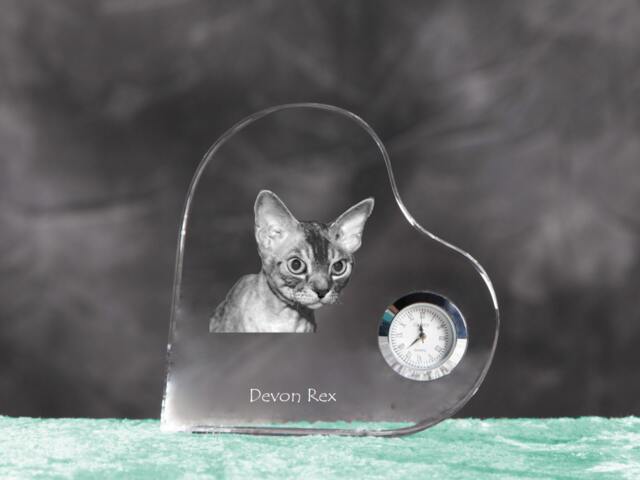 Devon Rex - Crystal Clock in The Shape Of A Heart With Image Pure-Bred Cat - image 1