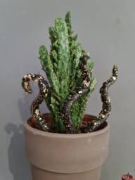 One - Black Octopus Tentacles Plant Decor, Polymer Clay Monster Adornment