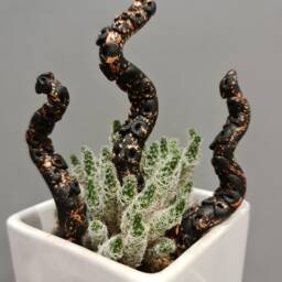 One - Black Octopus Tentacles Plant Decor, Polymer Clay Monster Adornment - thumbnail 2