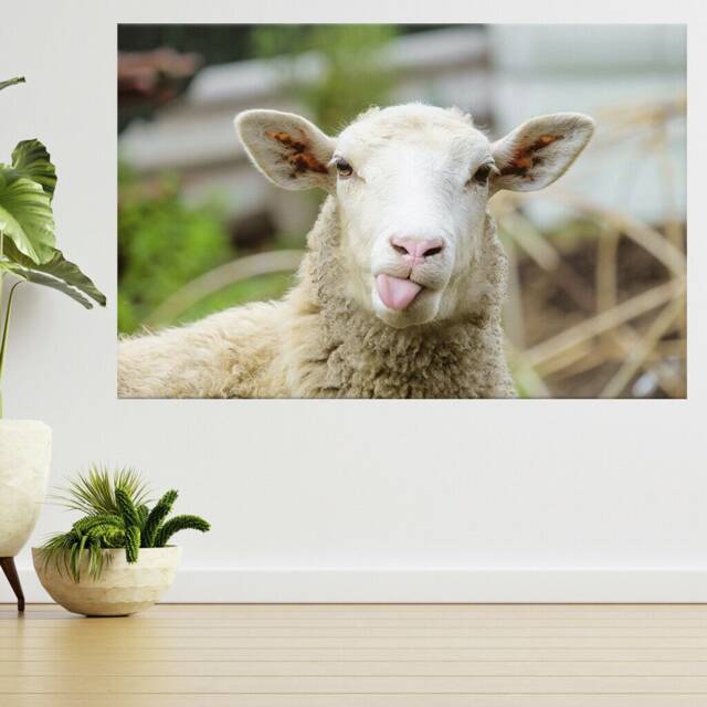 Funny Sheep Showing Tongue 3D View Wall Sticker Poster Decal A796 - image 1