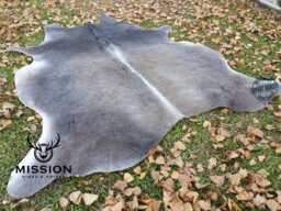 Gray Medium Amazing Cowhide Rug Unique Peau De Vache. Cow Hide Skin - thumbnail 1