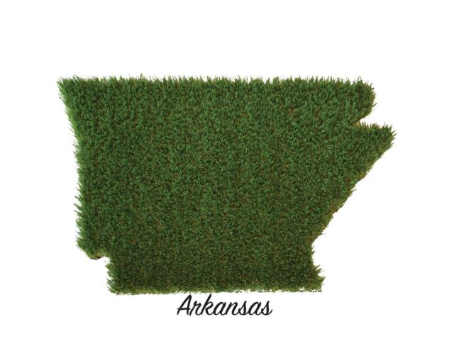 Arkansas Synthetic Grass Doormat - Rug Wall Decor - image 1