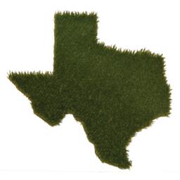 Arkansas Synthetic Grass Doormat - Rug Wall Decor - thumbnail 3