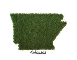 Arkansas Synthetic Grass Doormat - Rug Wall Decor - thumbnail 1